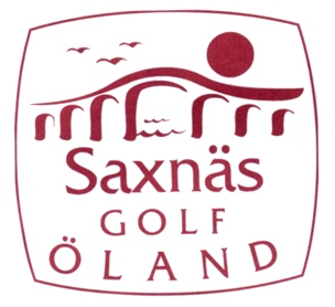 saxnas_logo_25